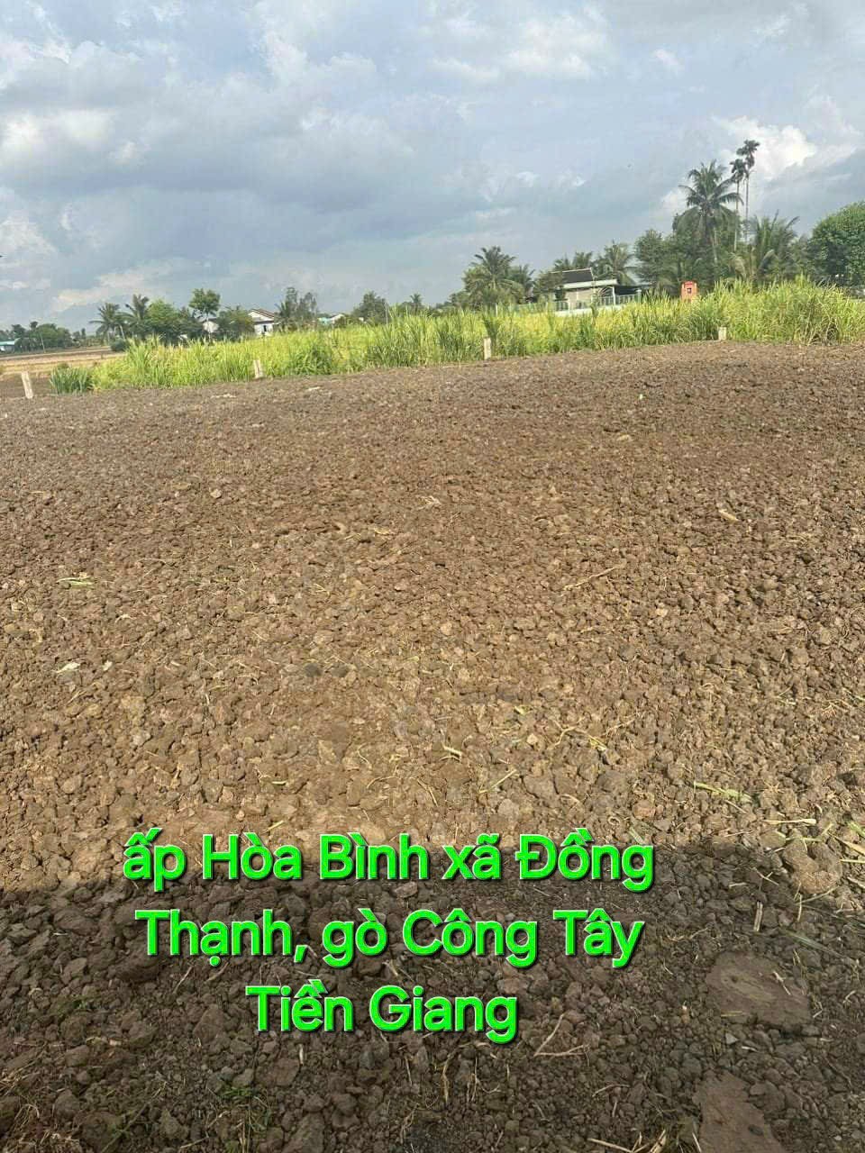 Đất mặt tiền đá xanh 5m đường kênh n7 xã Đồng Thạnh, Gò Công Tây, Tiền Giang