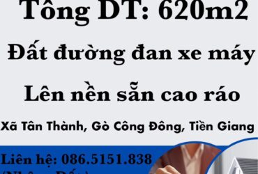ĐẤT ĐẸP GIÁ TỐT chỉ 250 triệu 10×62 m2 xã Tân Thành, Gò Công Đông, Tiền Giang