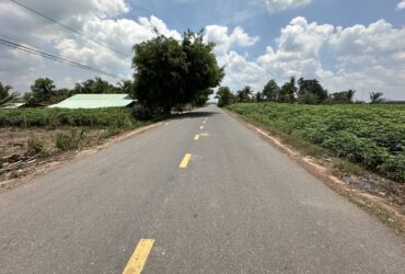 ĐẤT ĐẸP CHÍNH CHỦ đường DT785B Tân Hội, Tân Châu, Tây Ninh – Cách KCN Tân Hội một 2km