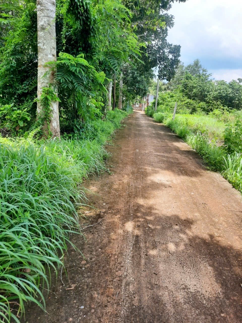 CHÍNH CHỦ BÁN LÔ ĐẤT ĐẸP ngay trung tâm thương mại NGÃI GIAO- CHÂU ĐỨC – BÀ RỊA VŨNG TÀU