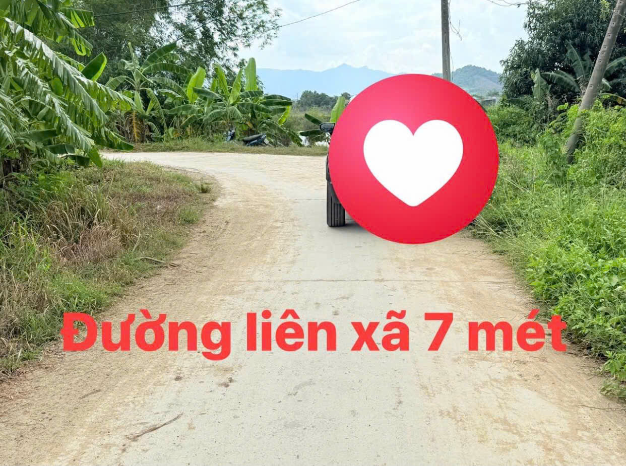 Chỉ 2 lô duy nhất full thổ cư Phước Lâm – Ninh Xuân – Ninh Hoà – Khánh Hoà giá rẻ