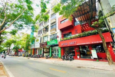 Bán gấp mặt phố vip Thái Thịnh 40m2 4 tầng kinh doanh đỉnh chỉ 16 tỷ
