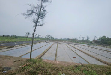 Bán đất nền ven biển, vị trí đắc địa, tiềm năng sinh lời cao, phù hợp đầu tư lâu dài