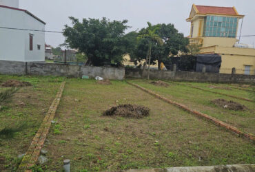 Làm ăn thua lỗ cần sang nhượng gấp lô đất chính chủ ngay sát khu kinh tế biển Ninh Cơ