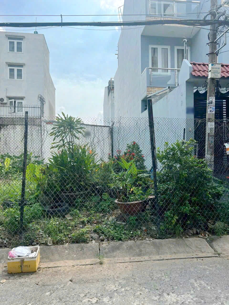 Bán lô đất ngay công viên, đường số 7 KDC Ấp 5 Phong Phú, ngay bến xe Q8 đi vào 1km