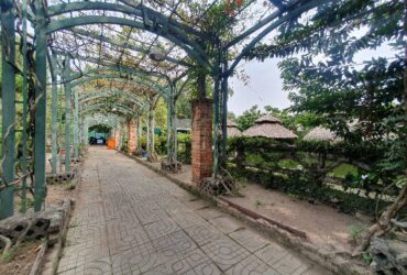 Bán đất Bình Phú, Tam phú, Thủ Đức, 1821m2, Mặt tiền kinh doanh, Gía chỉ 50.6 Tỷ TL