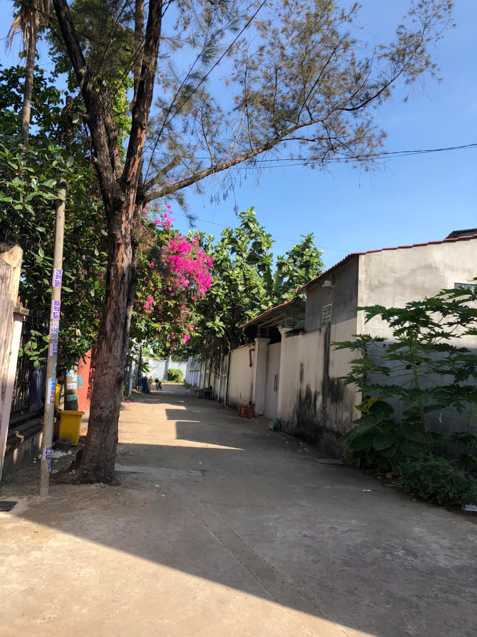 Bán đất An phú đông 27, Quận 12,  420m2 full thổ cư , Nở hậu, HXH, giá chỉ  11.8 TỶ TL