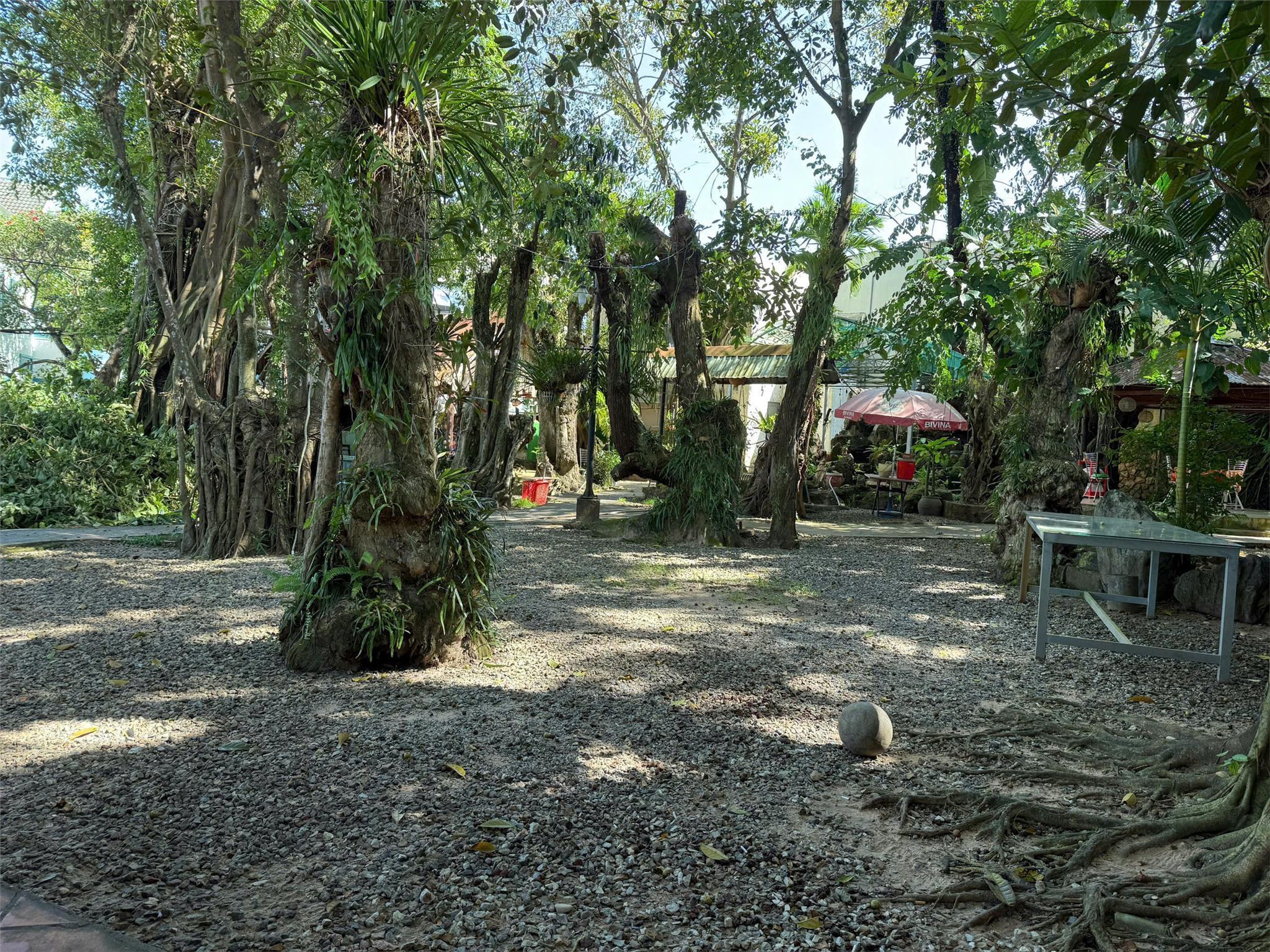 Bán Lô Đất Đẹp Đang Kinh Doanh Cafe – Trung Tâm Dương Đông