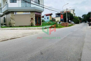 ĐẤU GIÁ VIỆT HÙNG ĐÔNG ANH – SIÊU PHẨM LÔ GÓC – KINH DOANH ĐỈNH