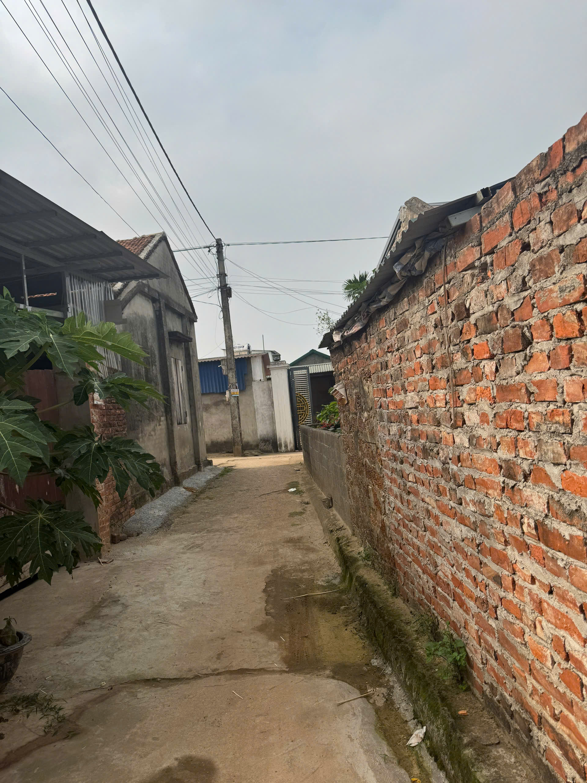 e có hai lô đất cần bán nhanh ạ 
 nhỉnh tỷ 

65m và 54m xã đông phương yên , Chương mỹ 
liên hệ e : 0967594106 – 0987282011