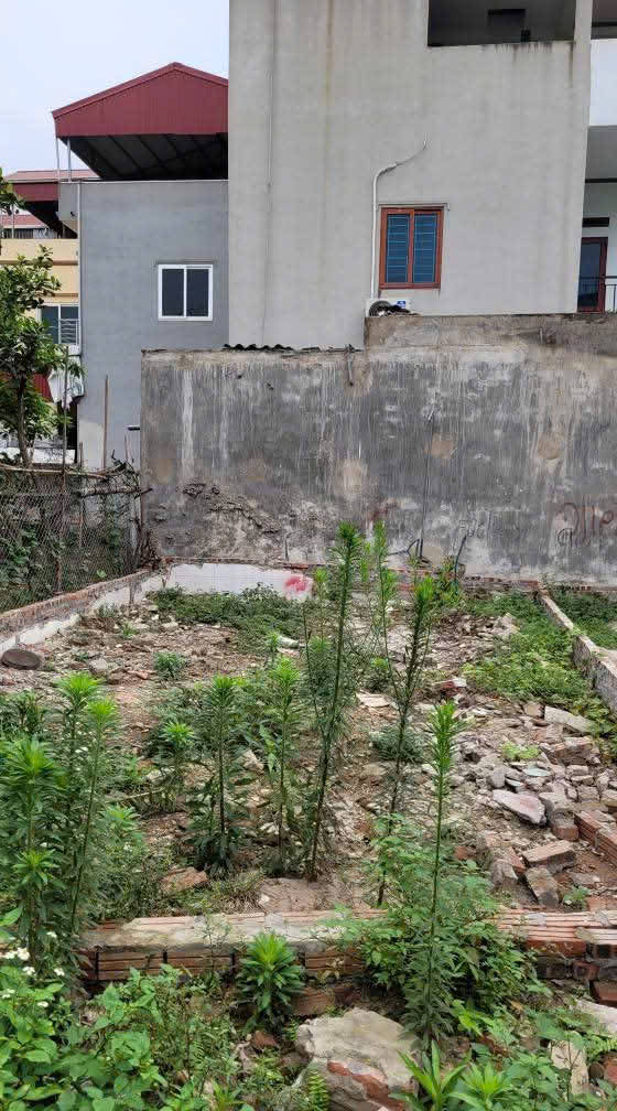 HIẾM – Mảnh đất rẻ ô tô trước ngõ Dt 40m ngay gần chợ Thôn 3 Vạn Phúc giá 3.1 tỷ