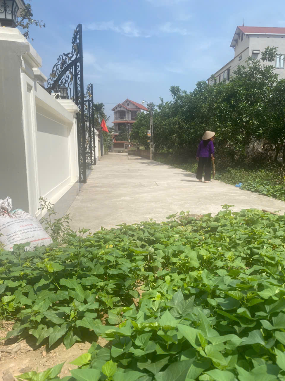 Mình cần bán nhanh đất Tráng Việt, Mê Linh, HN – Chính chủ mình luôn