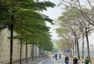 Bán đất mặt đường Bưởi, Ba Đình, 2 mặt đường, diện tích 60m2 full  thổ cư, giá chỉ 1x tỷ, x mầm non, quá rẻ