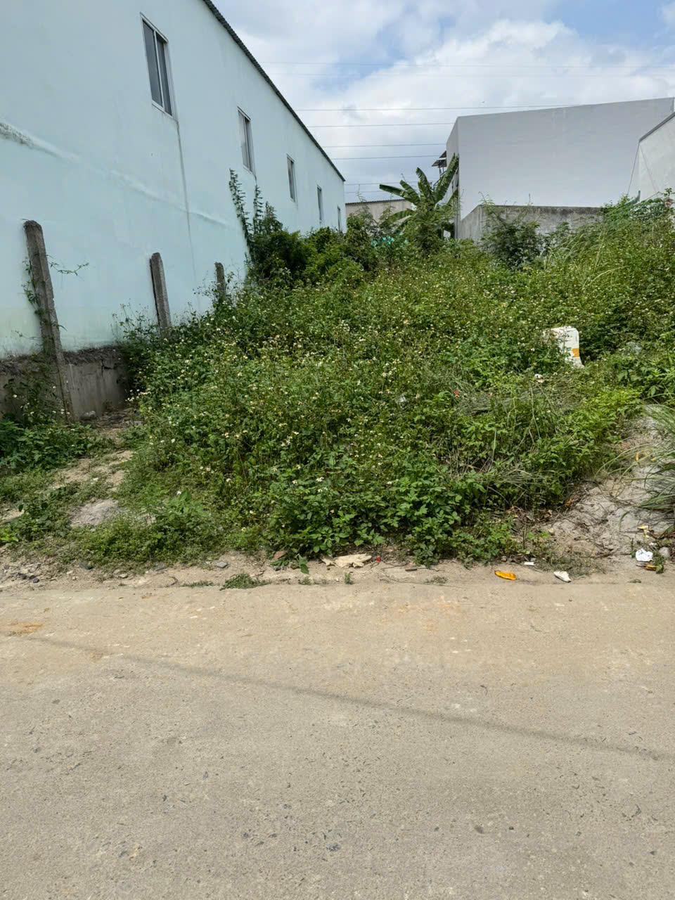 🔥 BÁN ĐẤT FULL THỔ CƯ, VĨNH THẠNH, NHA TRANG – GẦN TRỤC ĐƯỜNG D30 – GIÁ CHỈ 16,9 TRIỆU/M²