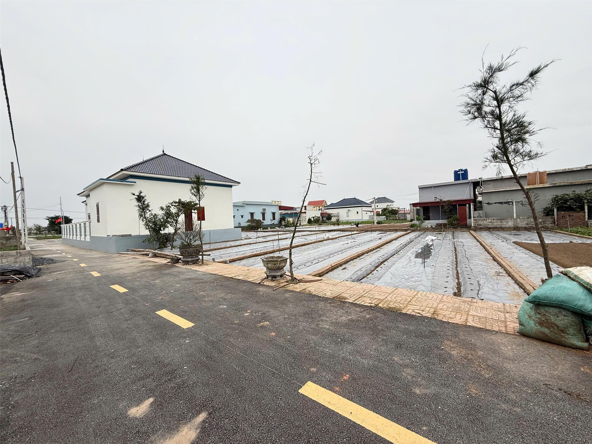 Cần bán nhanh 73m2 đất biển Quất Lâm, cách biển 50m, bám trục chính, view hồ giá hơn 1 Tỷ