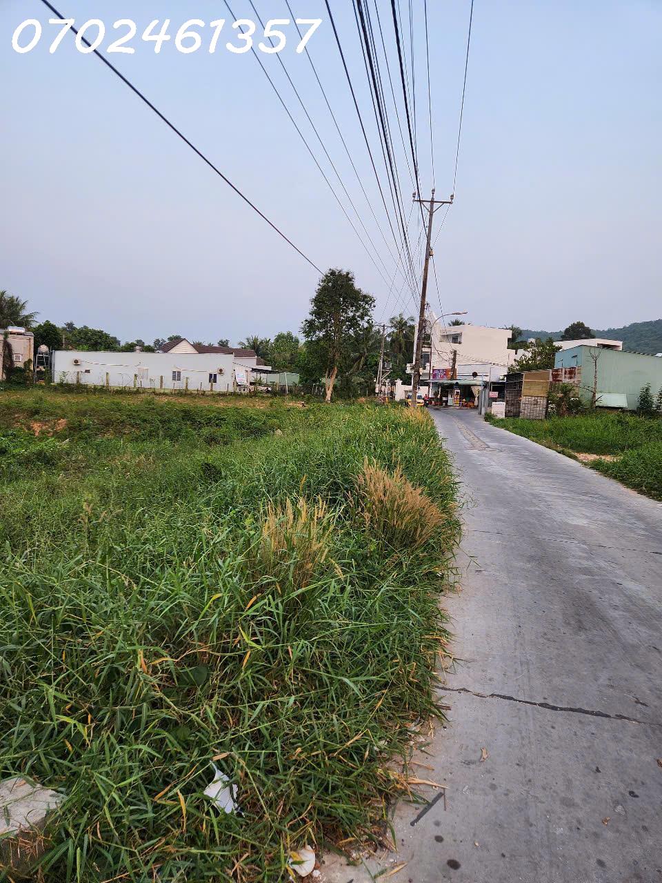 5400m² Đất Mặt Tiền Chùa Ông, Suối Đá – Phù Hợp Làm đầu tư