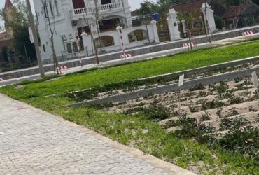 Cần bán nhanh lô đất đấu giá 108m x MT 6m ở Giao Thịnh, giá chỉ 1xtr/1 m2