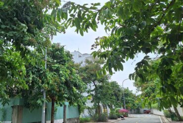 153m đất KDC Bộ Công An, 11.5 tỷ, sổ riêng, xây dựng ngay