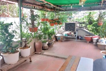 Nhà đẹp mặt phố Hồng Mai 60m x5T, khu dân trí cao, kinh doanh đỉnh. Giá 17.6 tỷ