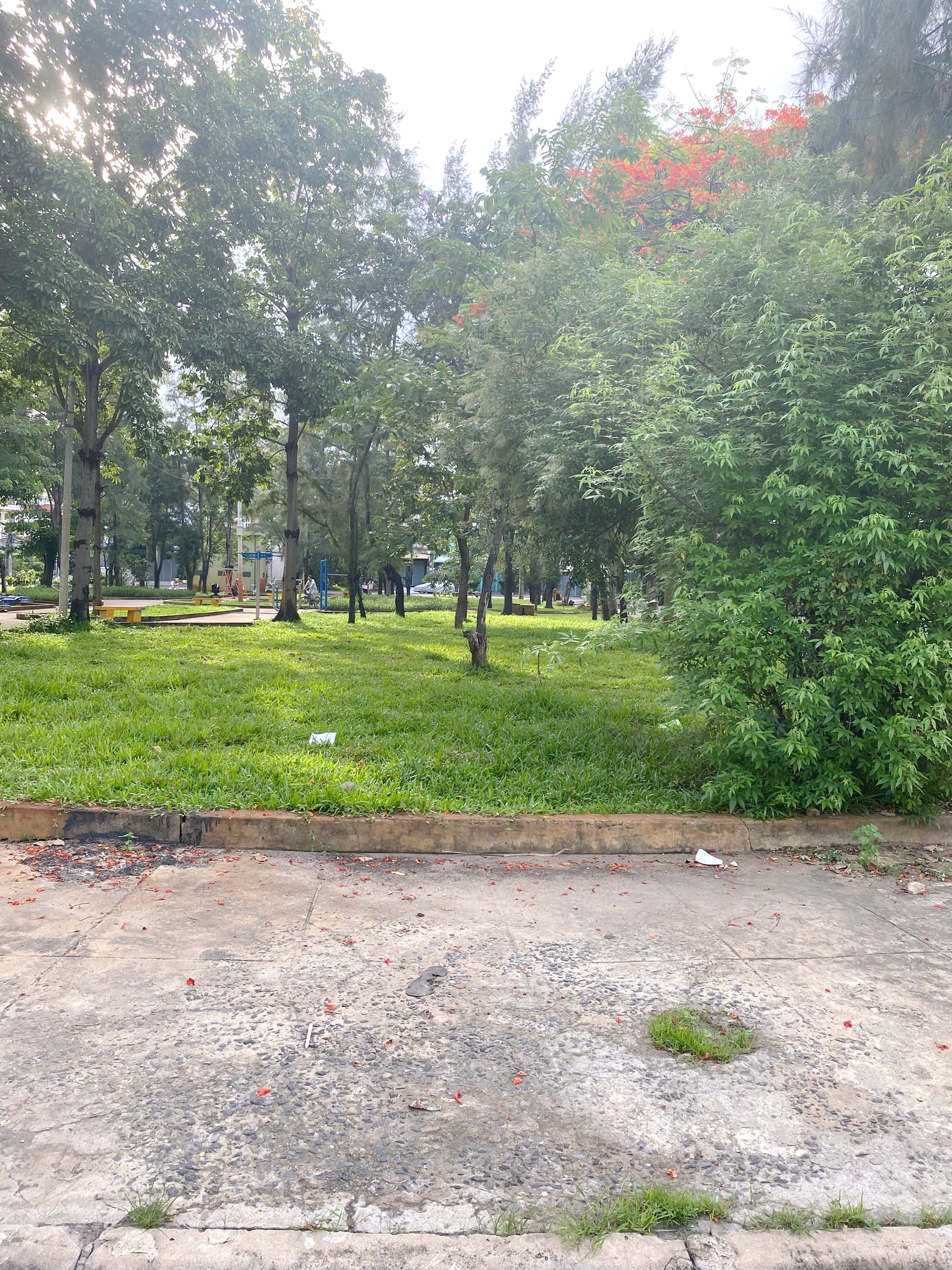 Bán lô đất Biệt Thự MT đường Số 5 KDC Ấp5 Pp (7 x19.5m = 136.5m2)