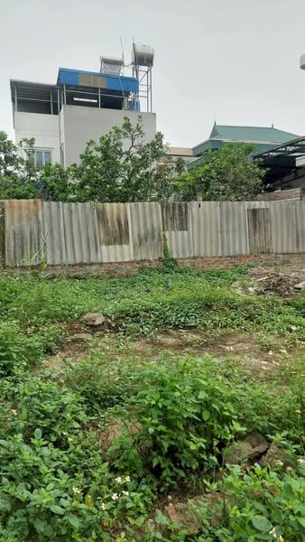 Rẻ và đẹp như này không mua thì mua ở đâu đất vạn 3 124m giá cho ae đầu tư khu vực đân cư than thiện tiện ích xung quanh đầy đủ oto vao dat 20m