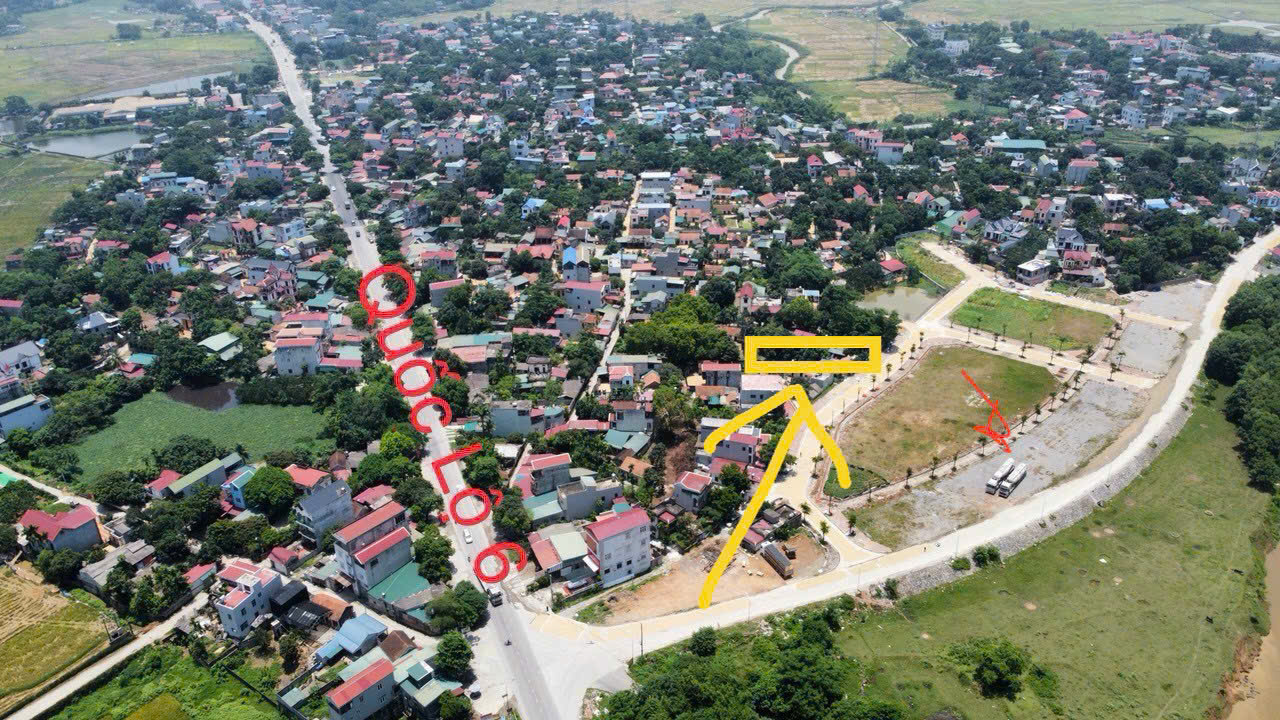 103m đấu giá khoang bèo xuân  mai