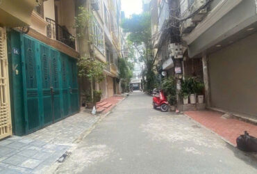 Phân lô-ô tô siêu tránh,vỉa hè,nhà ngõ 8 Trần Quang Diệu,50m2,mt4,5m,nhỉnh 20 tỷ