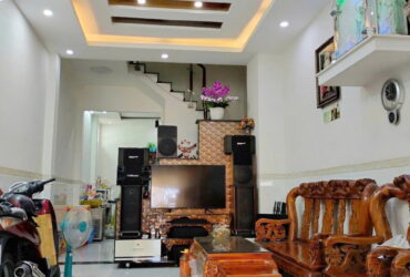 Nhà 3.9x17m, mặt tiền Phạm Thế Hiển (số lẻ) P4Q8