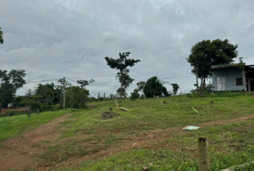 BÁN ĐẤT ĐẸP 1HA4 ĐẤT BẰNG TẠI EAPO, CƯ JÚT, ĐẮK NÔNG – Ô TÔ TẬN ĐẤT
