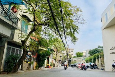 VŨ TÔNG PHAN- 51m2 – Ô tô – Lô góc – Chỉ hơn 8 tỷ