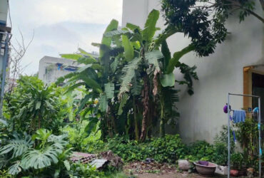 🔥🔥🔥THỬA ĐẤT ĐẸP – AN SINH SƯỚNG-GIÁ NHỈNH 5 TỶ