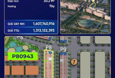 Căn hộ studio – tòa P8 dự án Sun Urban City Hà Nam (P80939)