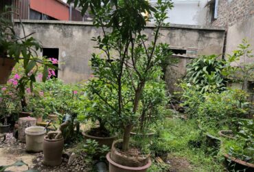 HÓT NHẤT THANH VĂN THANH OAI -445M CHỈ NHỈNH 20 TỶ- VÂY QUANH LÀ CÁC DỰ ÁN LỚN – THÔNG SỐ VÀNG – Ô TÔ TRÁNH CÁCH 8 MÉT – Ô TÔ VÀO ĐẤT