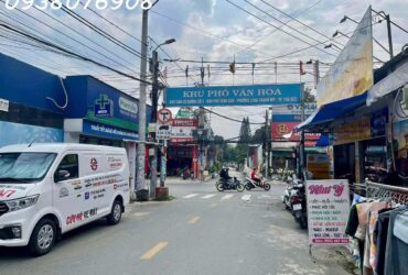 Nhà C4 mới xây, 60m2, cách Hoàng Hữu Nam 100m – Giá 3 tỷ nhỉnh