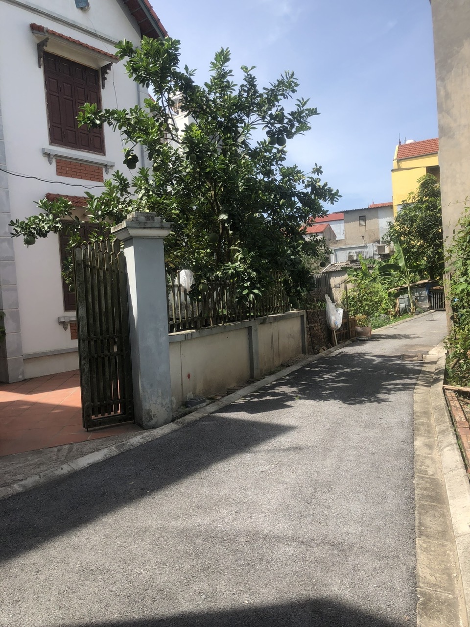 ✨ ĐÓN ĐẦU ĐẠI DỰ ÁN VINSAFARI (ĐA TỐN) – CÓ 1 KHÔNG 2 ✨
 Diện tích 50m²  Giá 3,9 tỷ – Tầm tiền hiếm có!