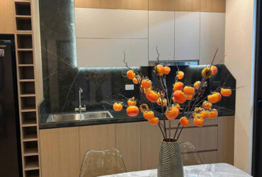 Chính chủ cần bán 3N, 2WC full nội thất chung cư N03 Trần Quý Kiên, Cầu Giấy, Hà Nội, chỉ hơn 5 tỷ