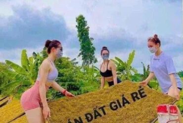 MẢNH ĐẤT VÀNG GIỮA LÀNG ĐÀO XUYÊN 57m2 CHỈ 3,9 TỶ 
Giá đầu tư cực ngọt – Xuống tiền là có lãi ngay!