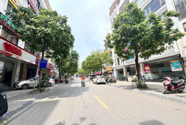 Siêu phẩm phố cổ vừa hot, lại hiếm Nguyễn Trường Tộ, Ba Đình cũ, sổ vuông đét , 2 mặt phố, DT đất 125 m, bán nhanh 55 tỷ