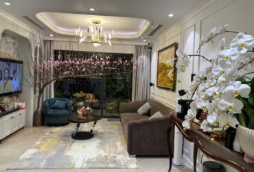 BÁN NHÀ PHẠM VĂN ĐỒNG – 56M² X 5 TẦNG, MẶT TIỀN 4.2M – LÔ GÓC, PHÂN LÔ – Ô TÔ TRÁNH – GIÁ 12.5 TỶ