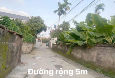 Bán lô đất đẹp 80m2 tại thôn Nam Võng Ngoại, xã Võng Xuyên, Phúc Thọ