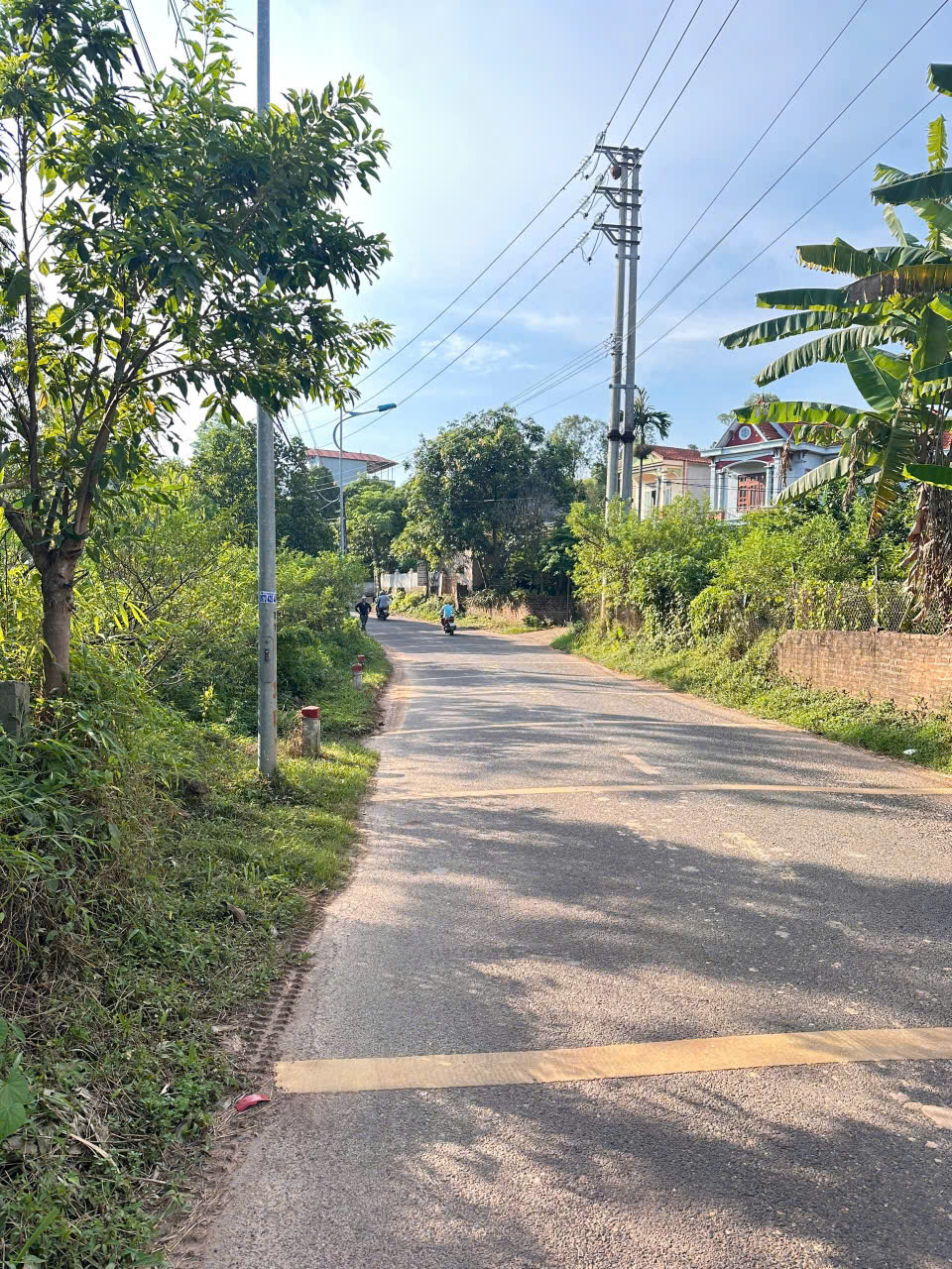 Chính chủ gửi bán gộp 2 lô đất đẹp – Đất ở và đất trồng cây lâu năm