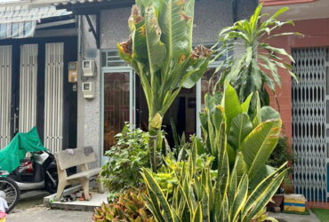 Nhà cấp 4 DT lớn 95.9m2 Hưng Phú P9Q8 . Giá chỉ có 5.7 tỷ