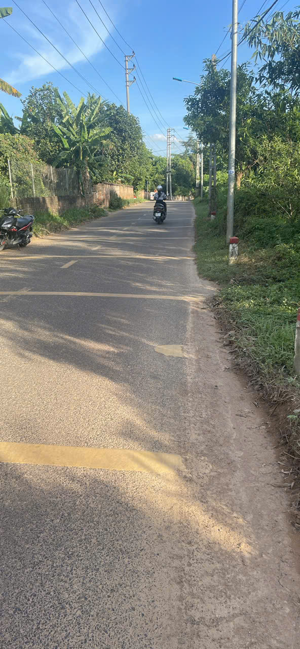 Chính chủ gửi bán gộp 2 lô đất đẹp – Đất ở và đất trồng cây lâu năm