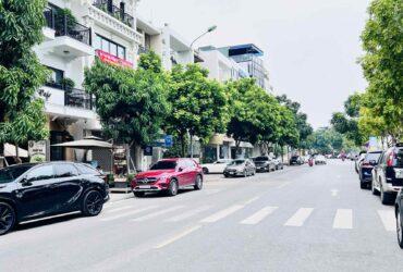 bán nhà Lâm Hạ- bệnh viện Tâm Anh, 90m x 4 tầng, mặt tiền 6m, phân lô, vỉa hè, ôtô tránh