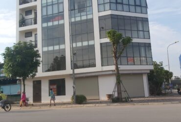 Cho thuê T O À  M.P Ngô Xuân Quảng.Gia Lâm, Hà Nội, 110m2x9T,  thang máy, tầng hầm, PCCC vị trí KD sầm uất
