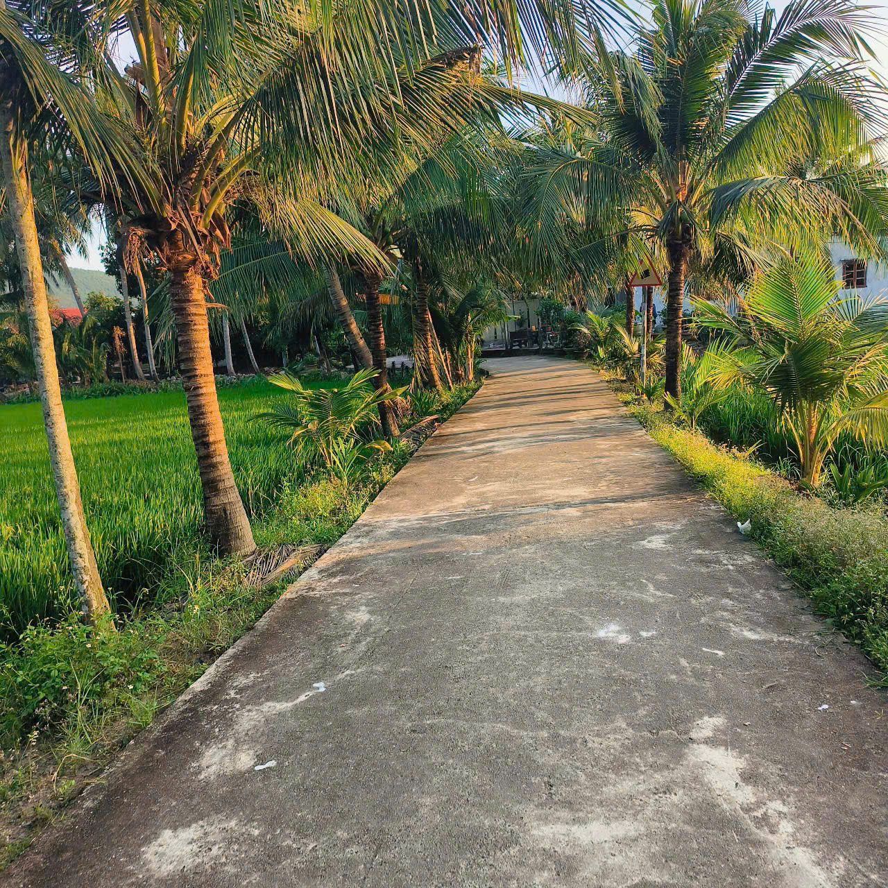 CL-BÁN LÔ ĐẤT DIÊN TOÀN (cũ), DIÊN KHÁNH.