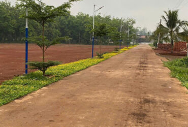 BÁN ĐẤT TẠI  LONG HÀ, PHÚ RIỀNG, BÌNH PHƯỚC