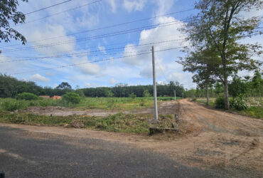 Bán đất Sào ở Đồng Phú, Bình Phước