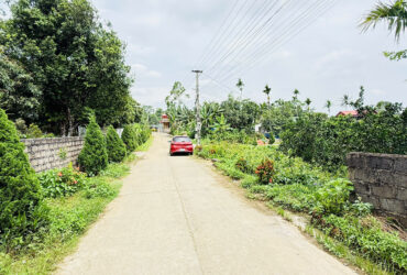 BÁN 121M FULL THỔ CƯ ĐẤT CAO DƯƠNG , LƯƠNG SƠN, HÒA BÌNH ,CỦA ĐỂ DÀNH CHO TƯƠNG LAI DÀI HẠN .
