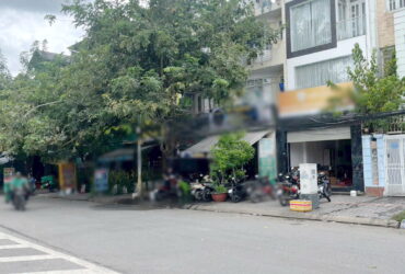 Bán nhà MT Cao Lỗ, Phường Chánh Hưng, Giá 16.5 tỷ